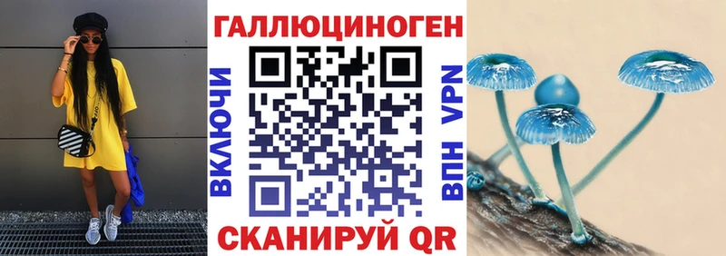 Купить  Барыш  Псилоцибиновые грибы MAGIC MUSHROOMS 